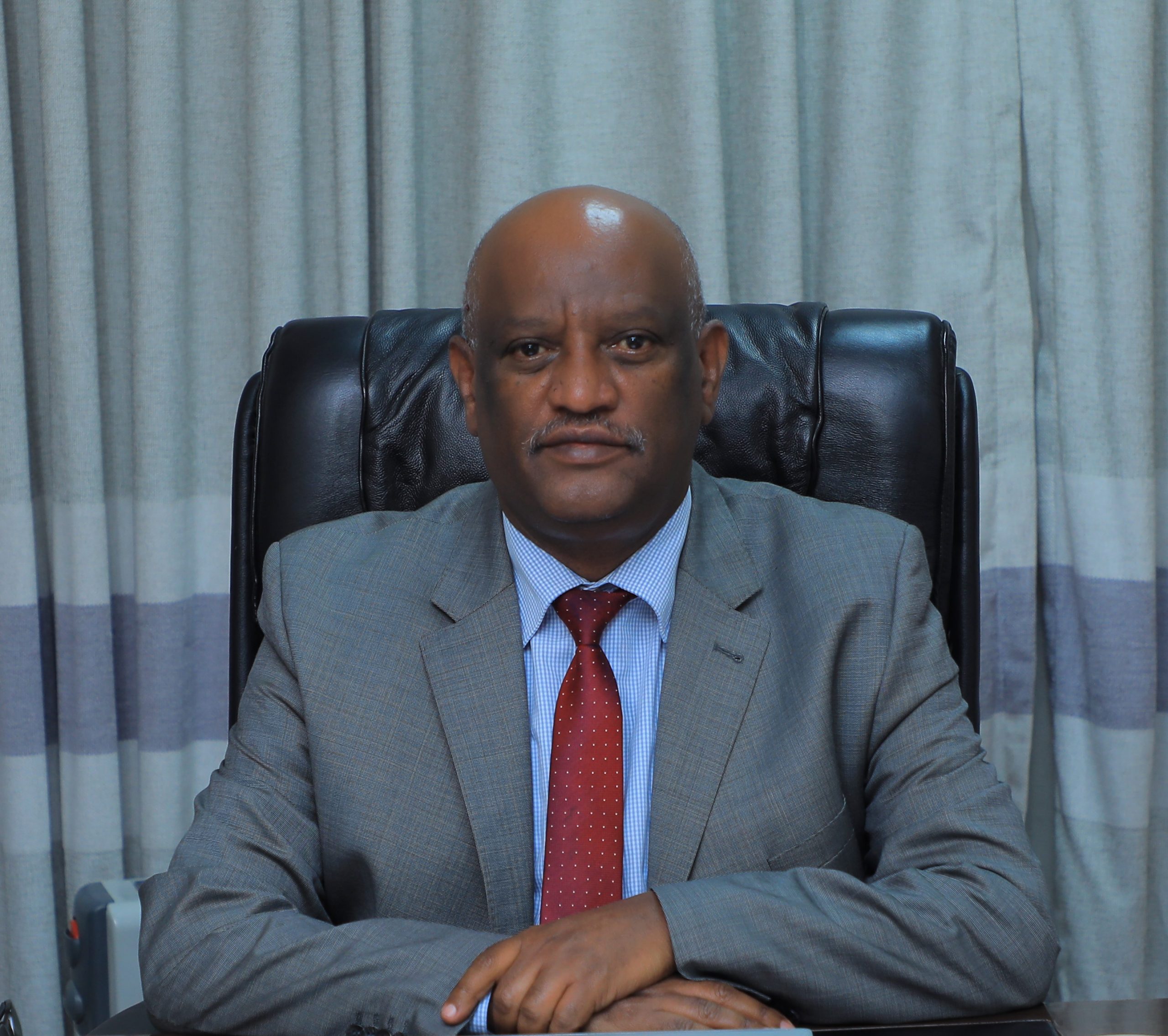 Mr. Seifu Bogale