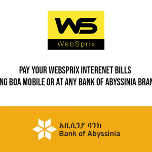 WebSprix taps into Bank of Abyssinia to facilitate their payment methods