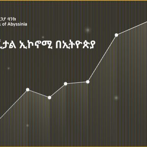 Blog-52 ዲጂታል ኢኮኖሚ በኢትዮጵያ