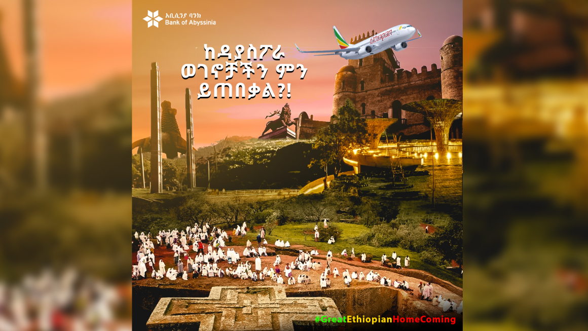 ከዳያስፖራ ወገኖቻችን ምን ይጠበቃል?!