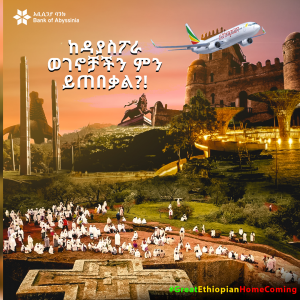 image_2021-12-28_15-56-51 ከዳያስፖራ ወገኖቻችን ምን ይጠበቃል?!