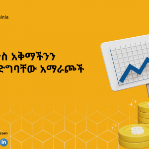 blog4nrlgkn ፲ የፋይናንስ አቅማችንን የምናሳድግባቸው አማራጮች