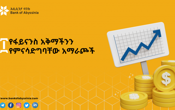 blog4nrlgkn ፲ የፋይናንስ አቅማችንን የምናሳድግባቸው አማራጮች