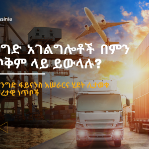 የውጭ ንግድ አገልግሎቶች በምን መልኩ ጥቅም ላይ ይውላሉ?