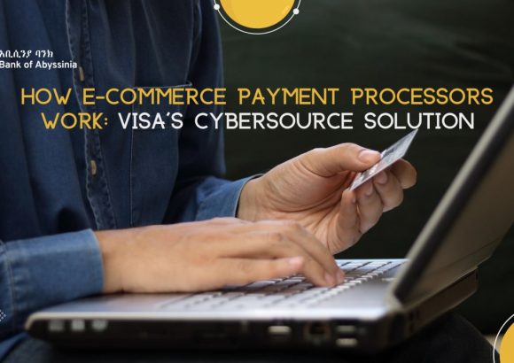 How E-Commerce Payment Processors Work: Visa’s Cybersource Solution