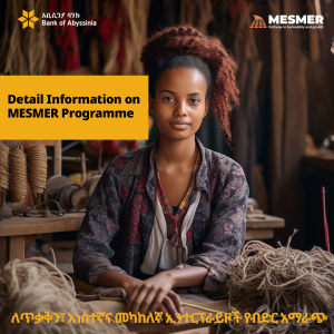 Detail Information on MESMER Programme